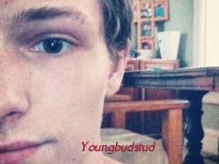 Youngbudstud