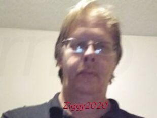Ziggy2020