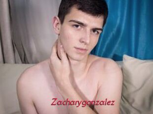 Zacharygonzalez