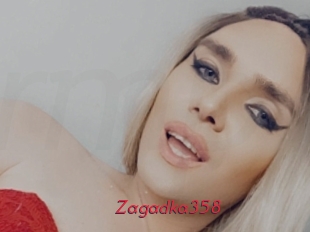 Zagadka358